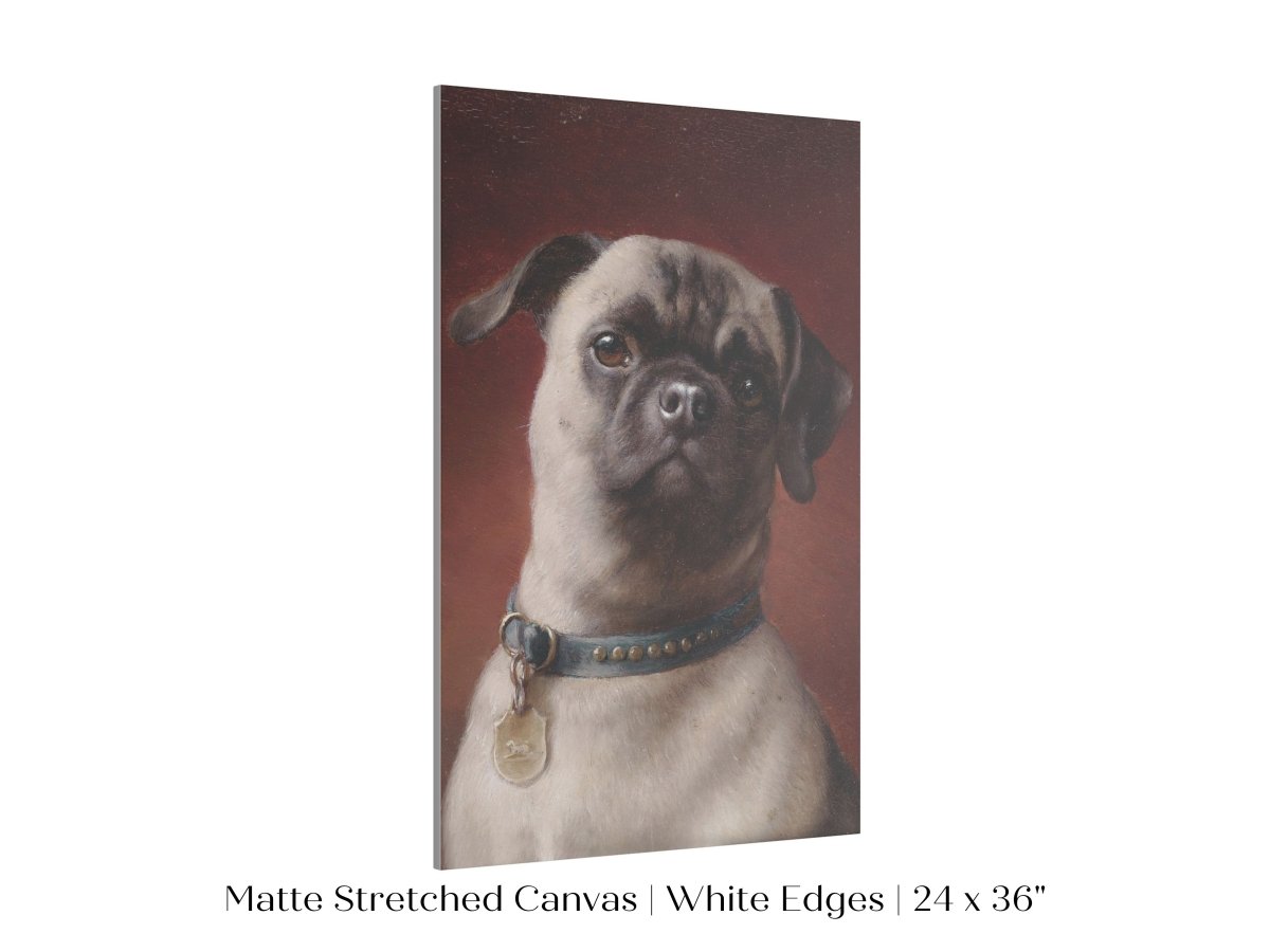 Pug | P437 - Single Art Prints - Piccolo Fiore Prints
