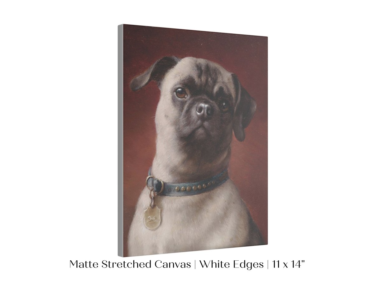 Pug | P437 - Single Art Prints - Piccolo Fiore Prints