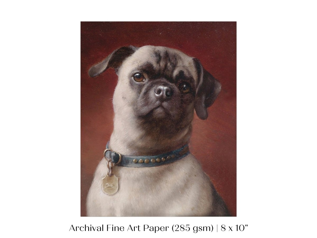 Pug | P437 - Single Art Prints - Piccolo Fiore Prints
