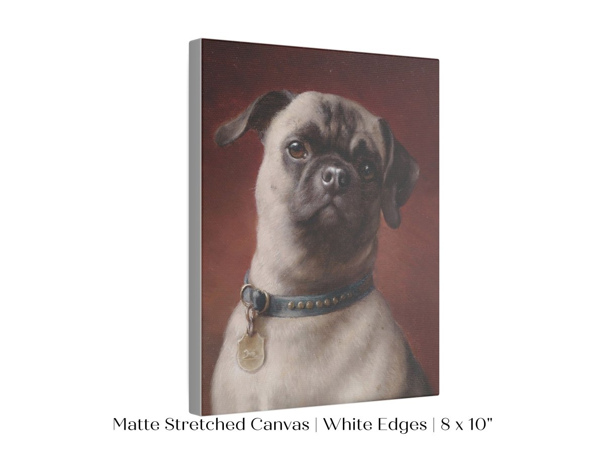 Pug | P437 - Single Art Prints - Piccolo Fiore Prints