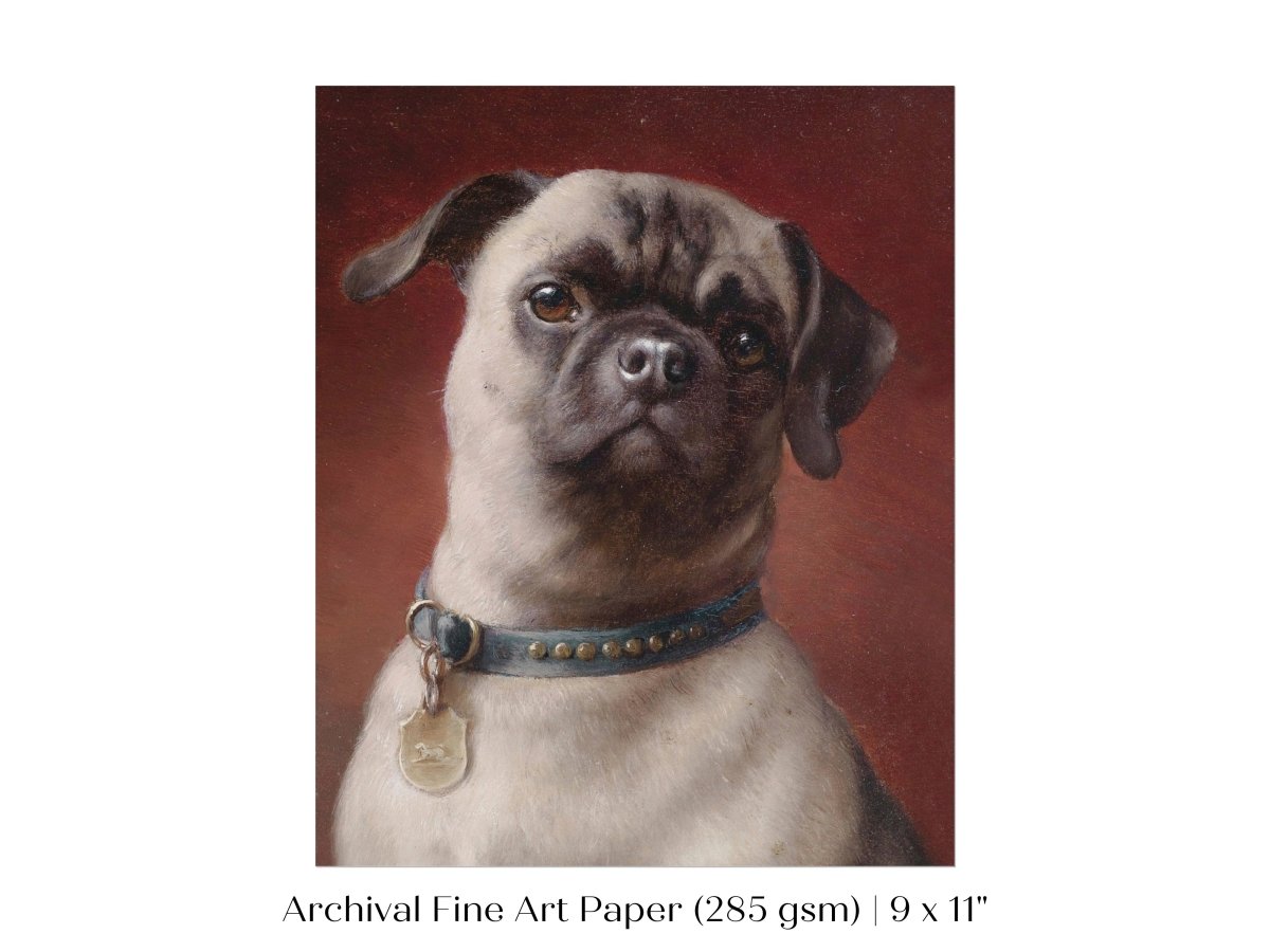 Pug | P437 - Single Art Prints - Piccolo Fiore Prints