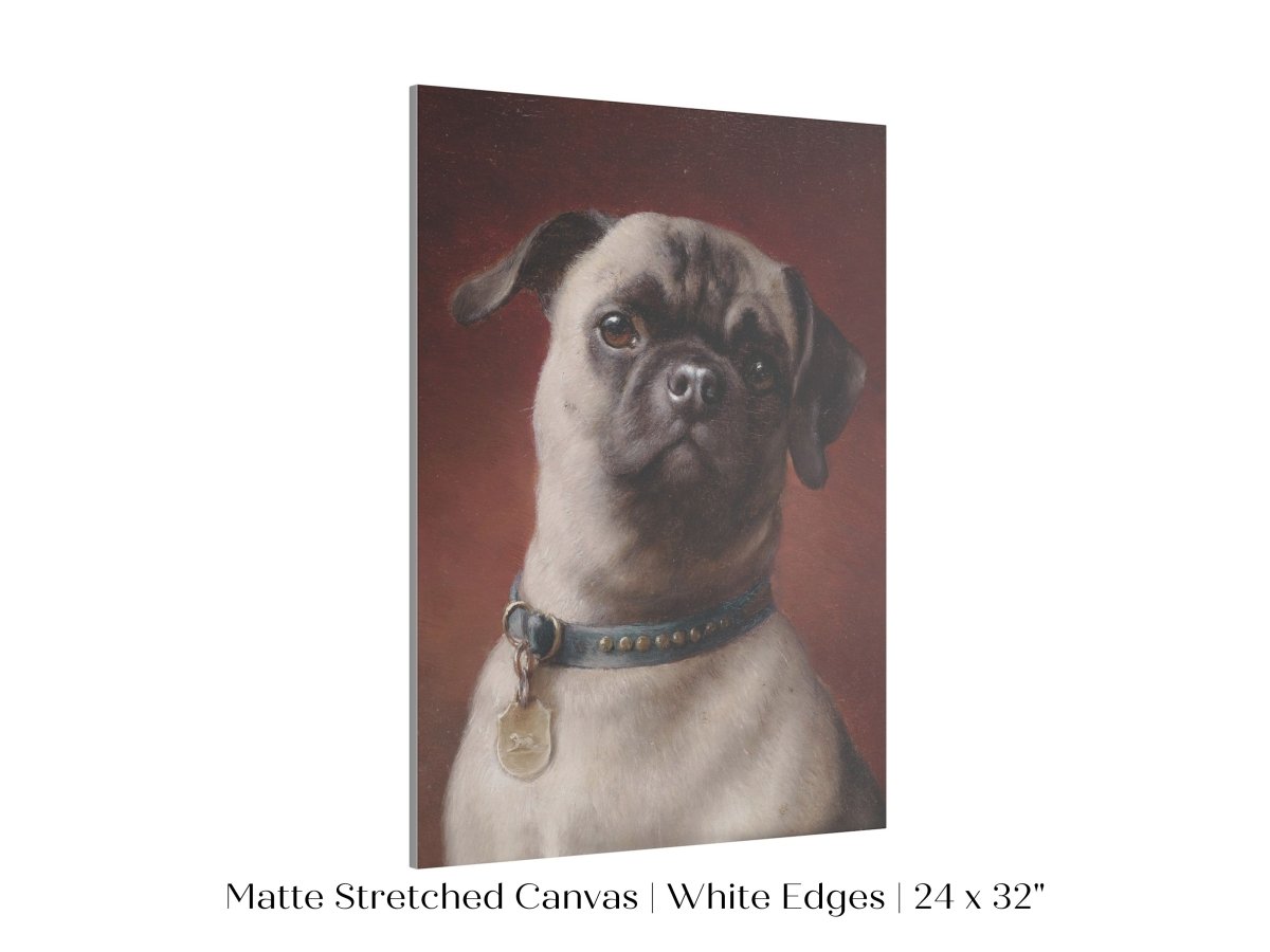Pug | P437 - Single Art Prints - Piccolo Fiore Prints