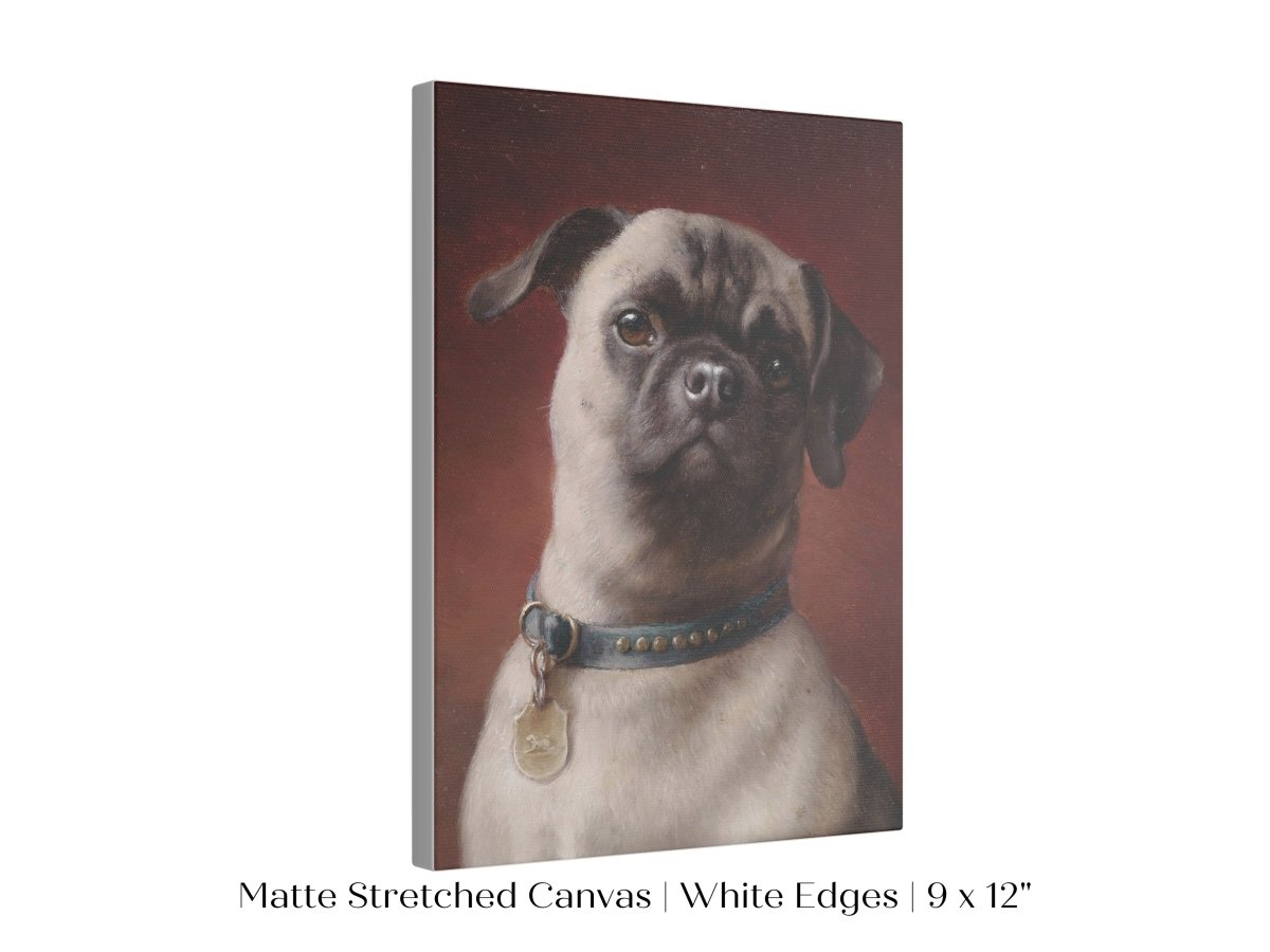 Pug | P437 - Single Art Prints - Piccolo Fiore Prints