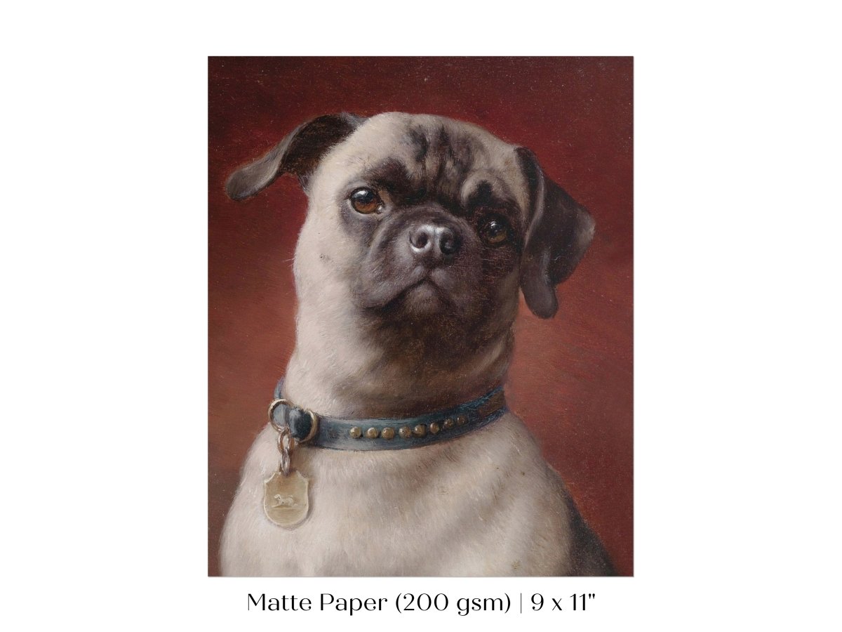 Pug | P437 - Single Art Prints - Piccolo Fiore Prints