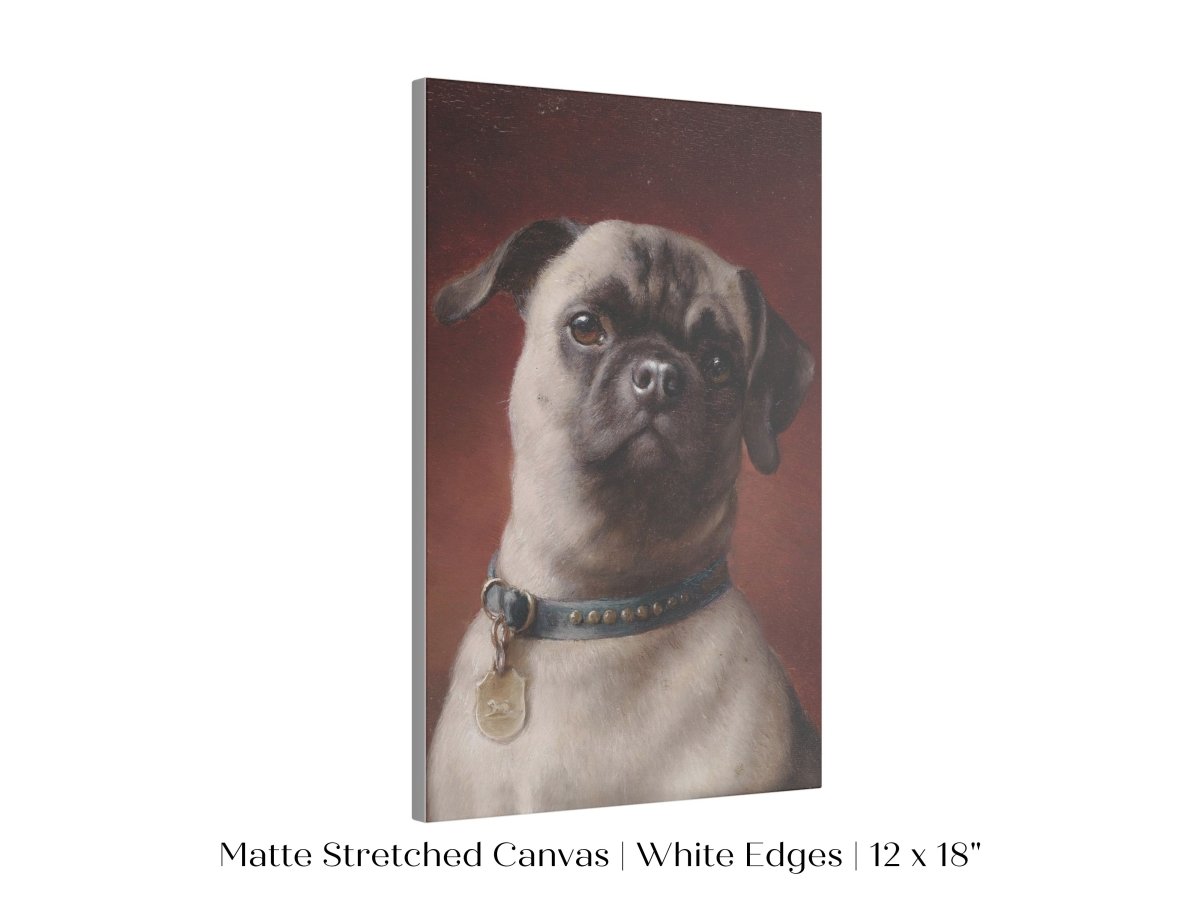 Pug | P437 - Single Art Prints - Piccolo Fiore Prints