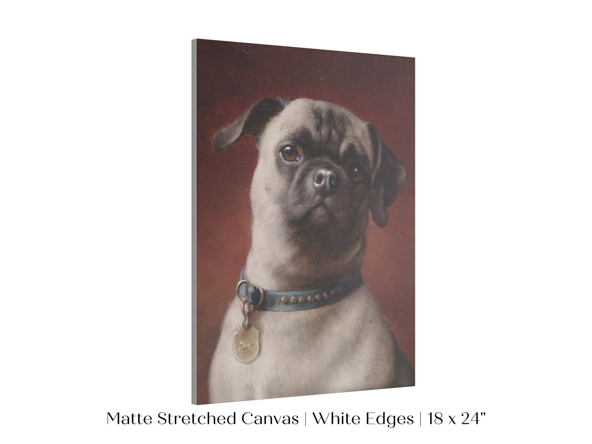 Pug | P437 - Single Art Prints - Piccolo Fiore Prints
