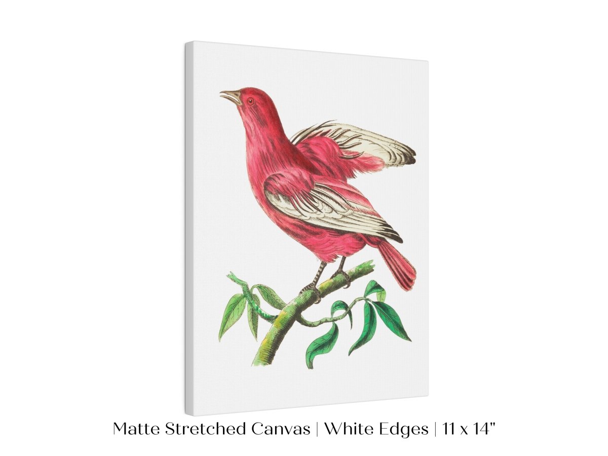 Purple Chatterer Illustration | P57 - Single Art Prints - Piccolo Fiore Prints