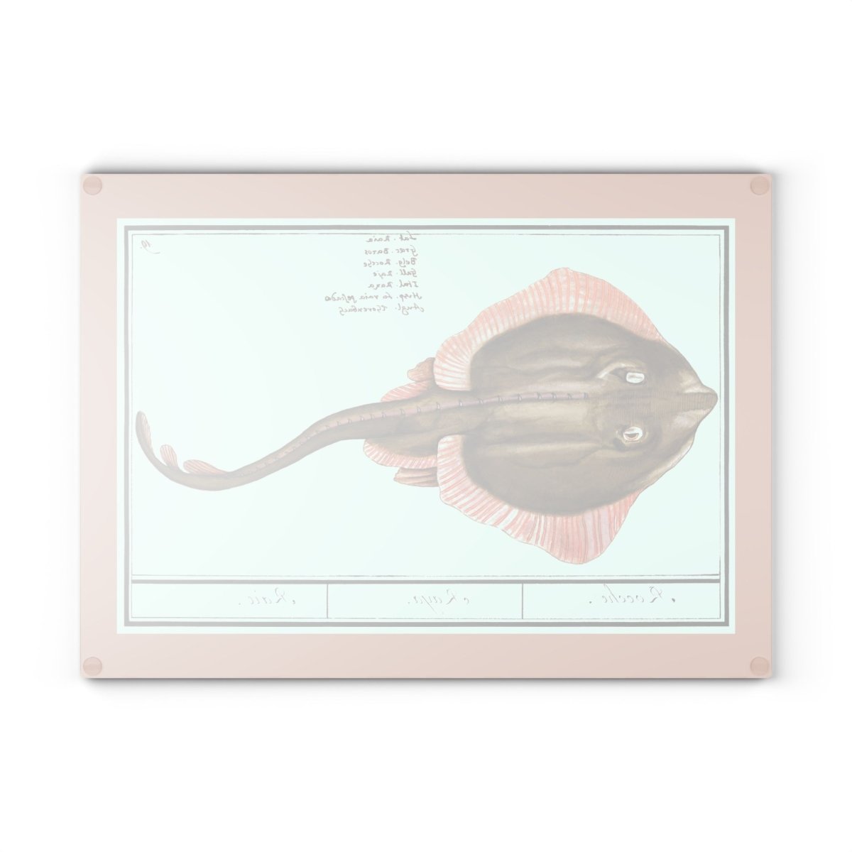 Ray Fish | Glass Chopping Board - Glass Chopping Board - Piccolo Fiore Prints