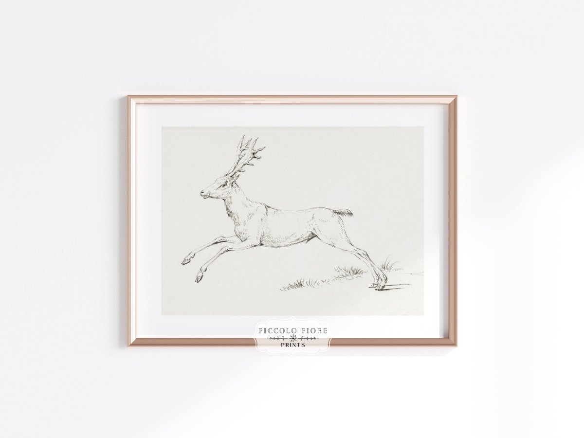 Rustic Flowers and Deer | Gallery Wall Set | 3 Prints | S7 - 2.2 - Gallery Wall Set - Piccolo Fiore Prints