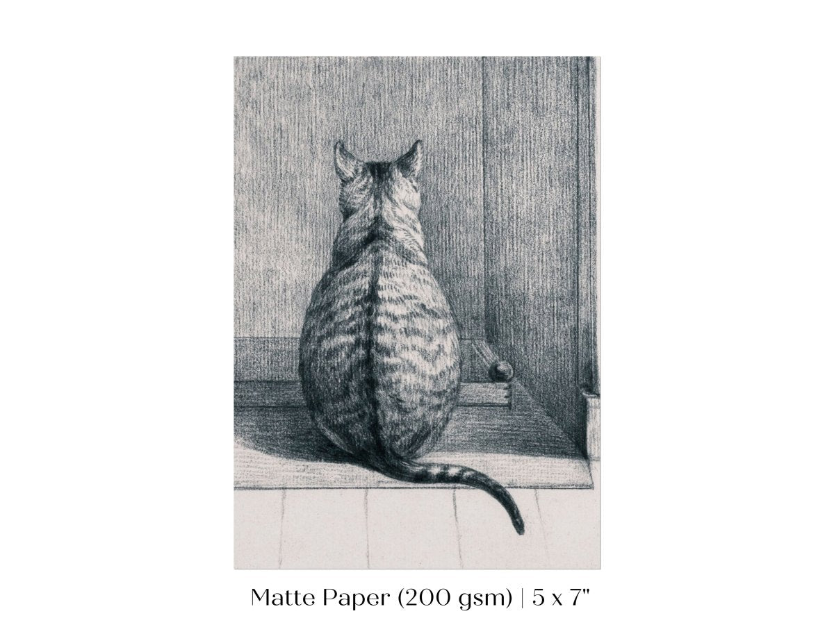 Sitting Cat Sketch | P215 - Single Art Prints - Piccolo Fiore Prints