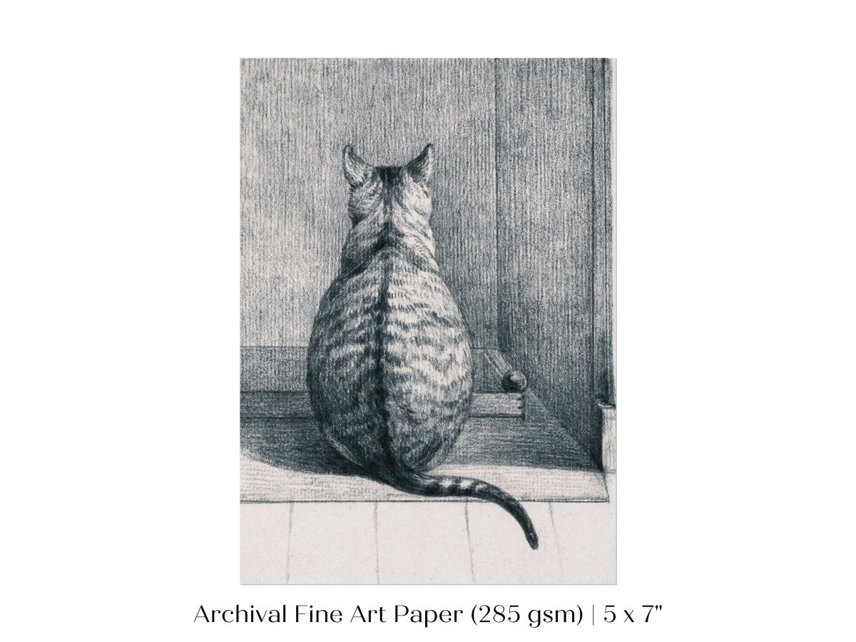 Sitting Cat Sketch | P215 - Single Art Prints - Piccolo Fiore Prints