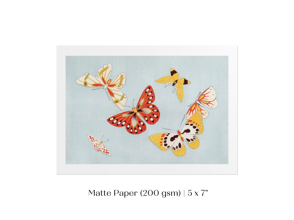 Six Yellow & Red Butterflies | Vintage Japanese Art | P256 - Single Art Prints - Piccolo Fiore Prints