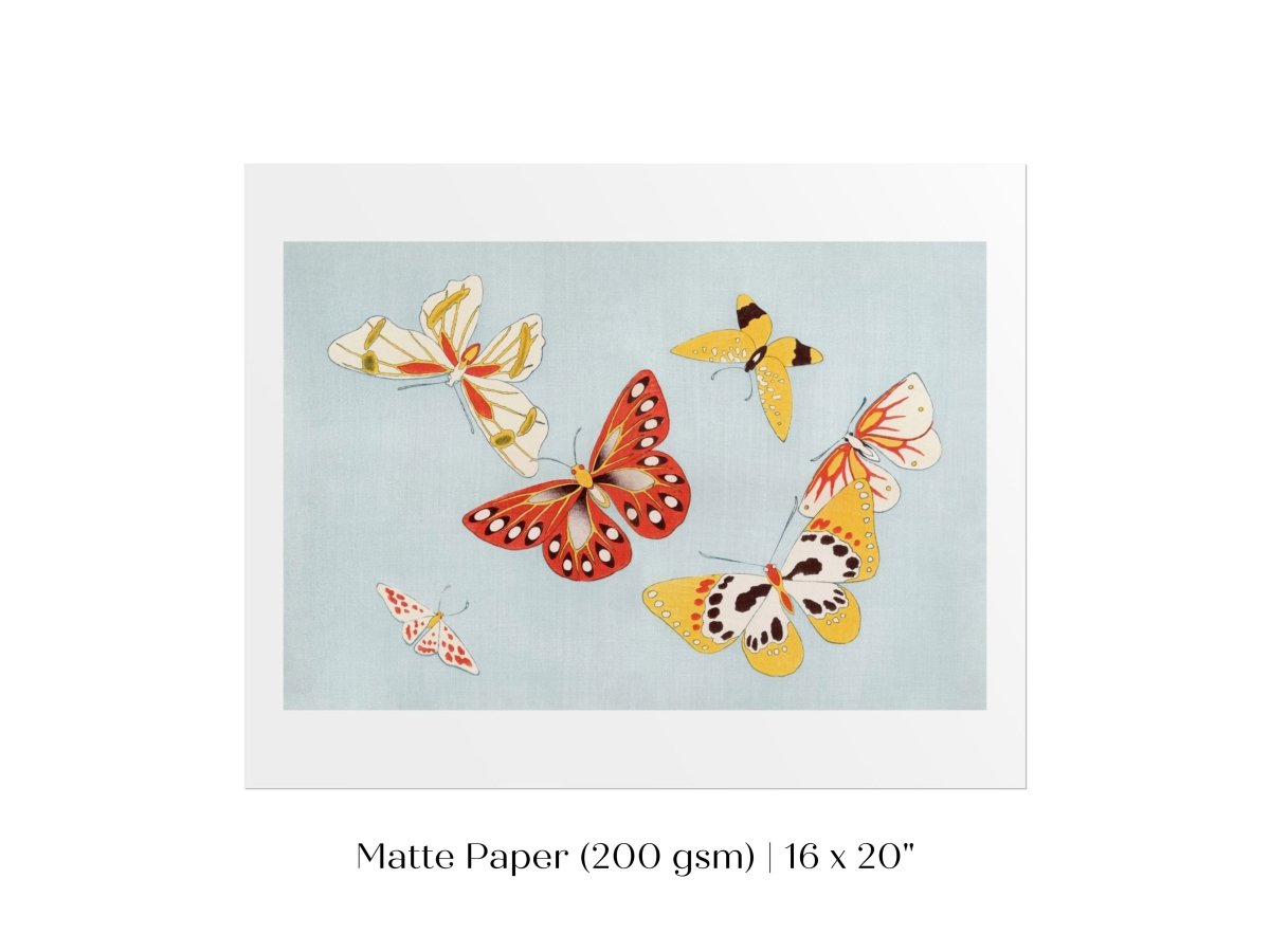 Six Yellow & Red Butterflies | Vintage Japanese Art | P256 - Single Art Prints - Piccolo Fiore Prints