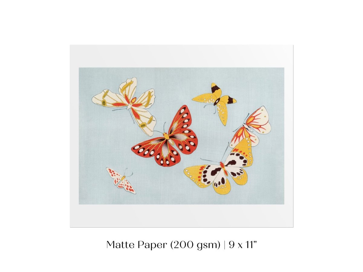Six Yellow & Red Butterflies | Vintage Japanese Art | P256 - Single Art Prints - Piccolo Fiore Prints