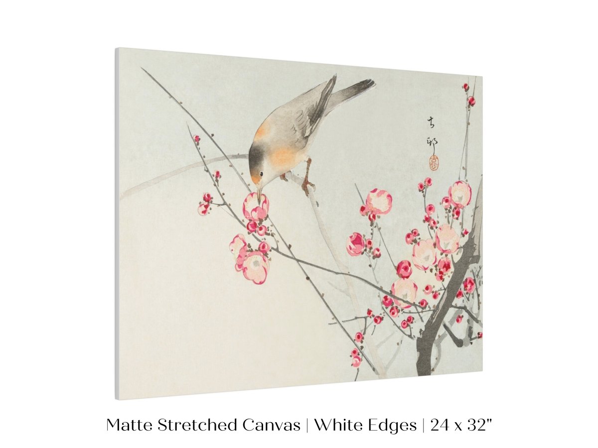 Songbird on Blossom Branch | P147 - Single Art Prints - Piccolo Fiore Prints