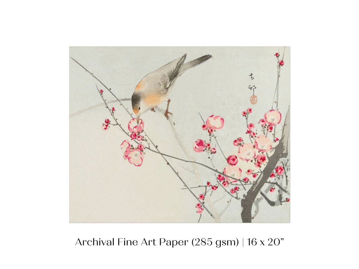 Songbird on Blossom Branch | P147 - Single Art Prints - Piccolo Fiore Prints