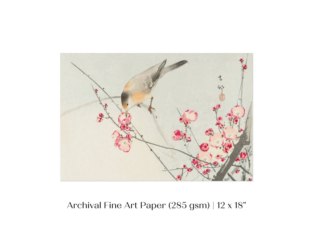 Songbird on Blossom Branch | P147 - Single Art Prints - Piccolo Fiore Prints
