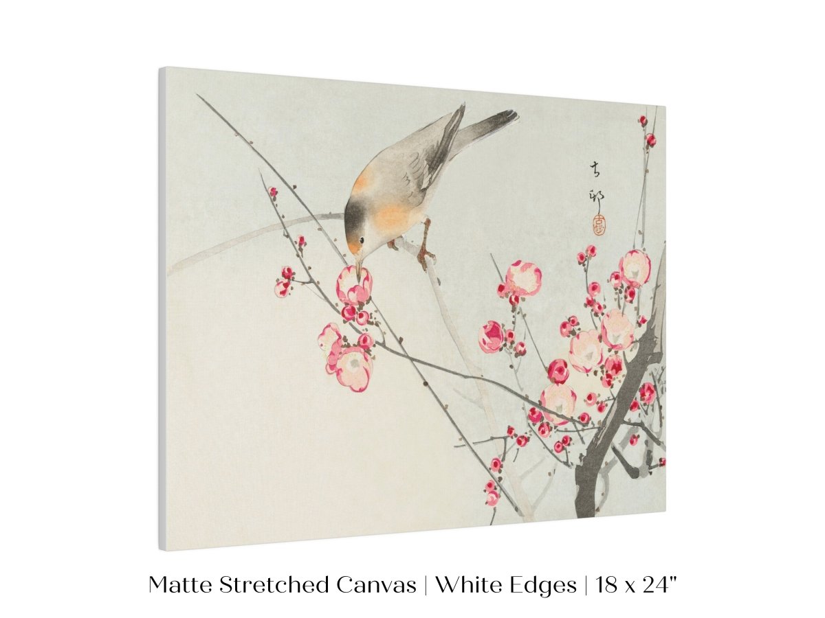 Songbird on Blossom Branch | P147 - Single Art Prints - Piccolo Fiore Prints