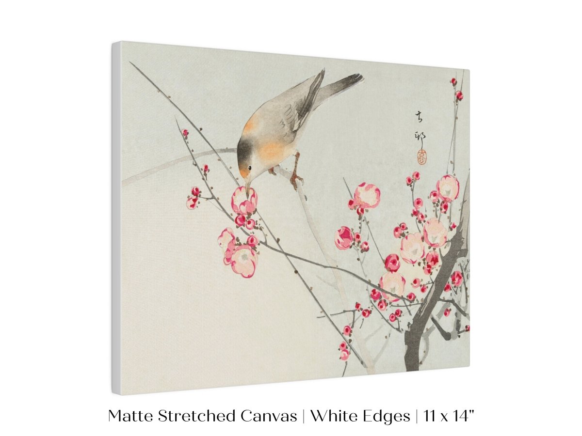 Songbird on Blossom Branch | P147 - Single Art Prints - Piccolo Fiore Prints