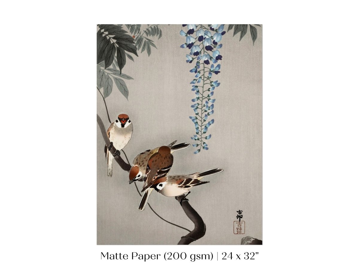 Sparrows and Wisteria | Vintage Japanese Art | P203 - Single Art Prints - Piccolo Fiore Prints