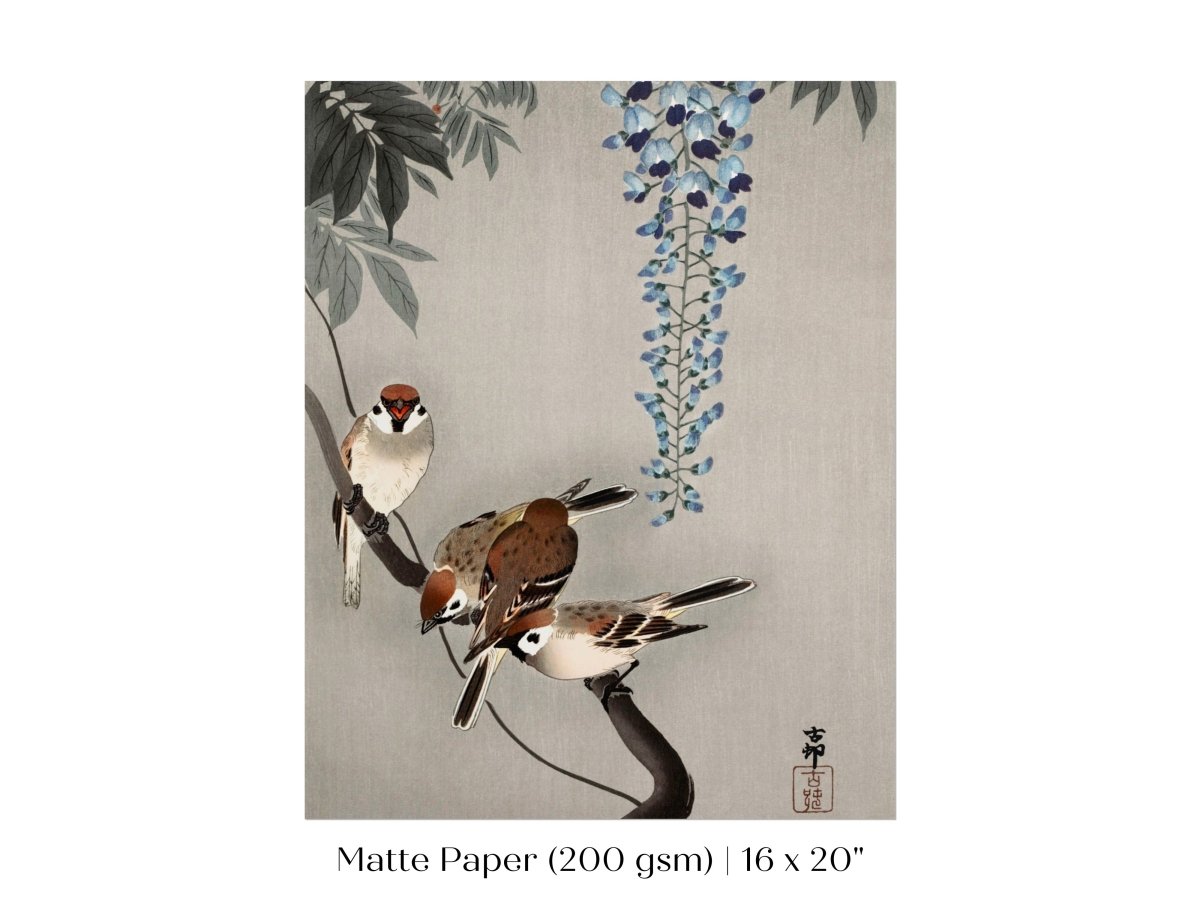 Sparrows and Wisteria | Vintage Japanese Art | P203 - Single Art Prints - Piccolo Fiore Prints