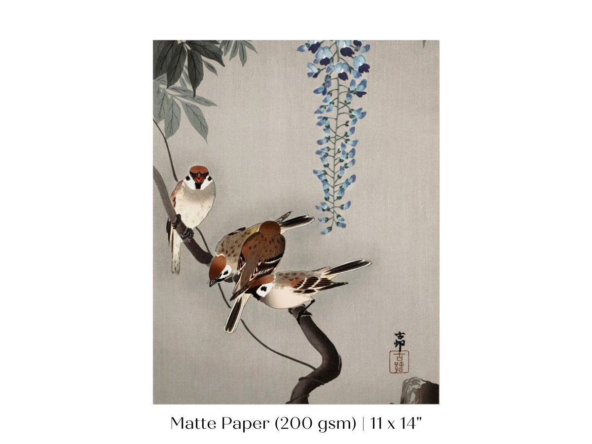 Sparrows and Wisteria | Vintage Japanese Art | P203 - Single Art Prints - Piccolo Fiore Prints