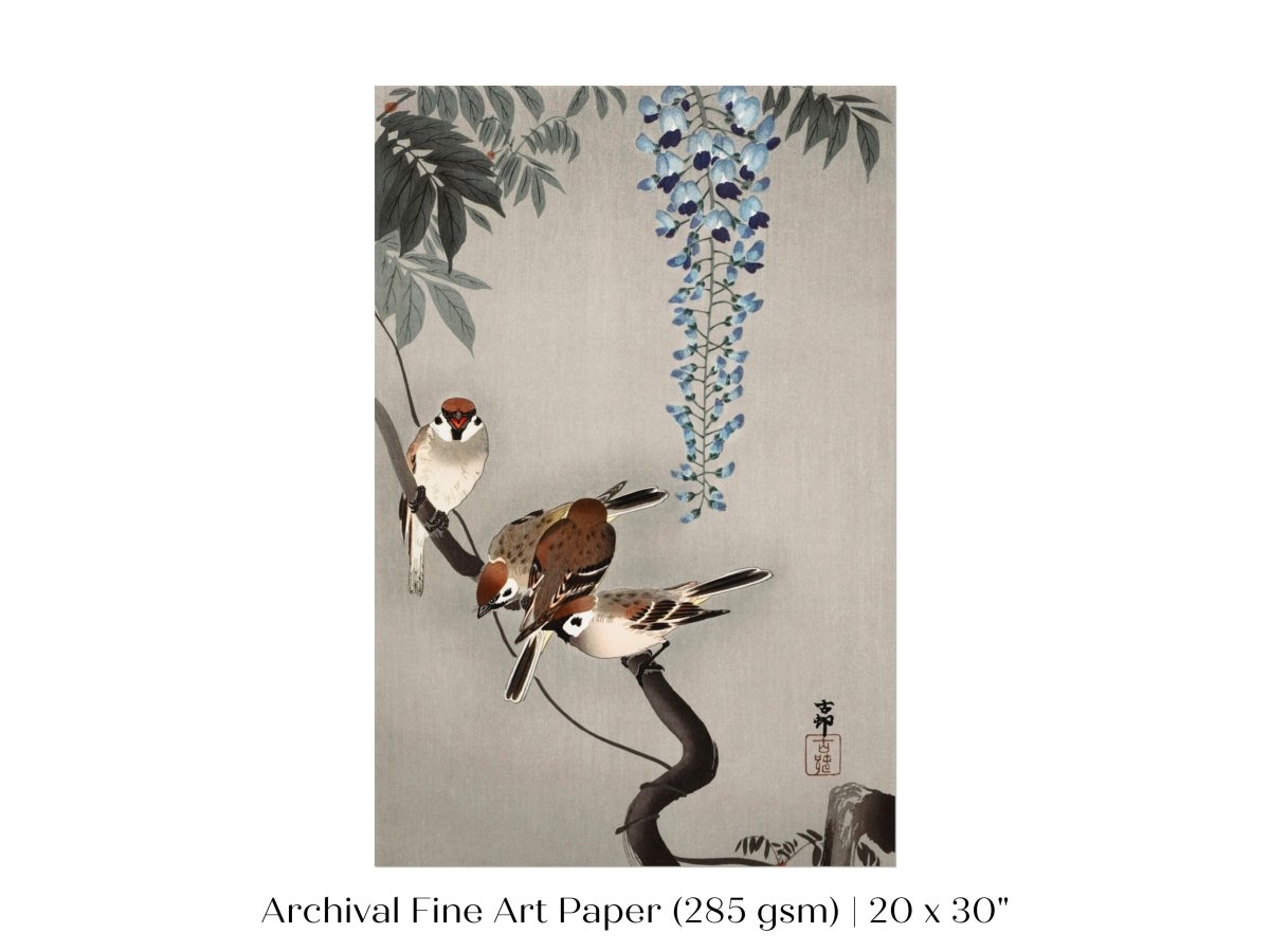 Sparrows and Wisteria | Vintage Japanese Art | P203 - Single Art Prints - Piccolo Fiore Prints