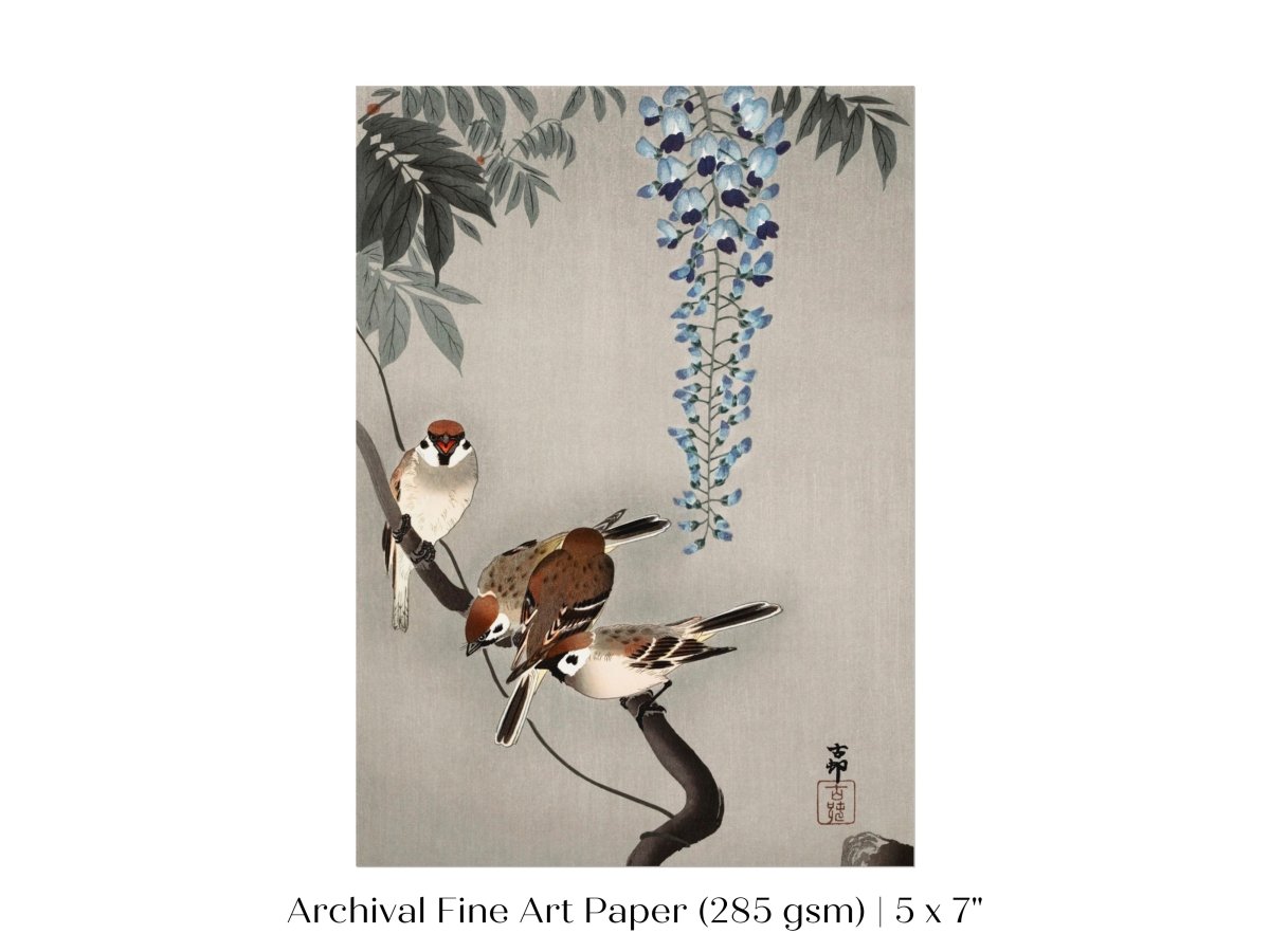 Sparrows and Wisteria | Vintage Japanese Art | P203 - Single Art Prints - Piccolo Fiore Prints