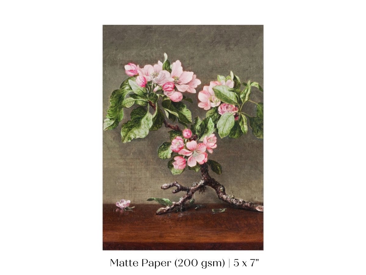 Still Life with Apple Blossoms | P146 - Single Art Prints - Piccolo Fiore Prints