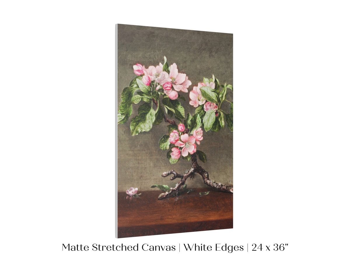 Still Life with Apple Blossoms | P146 - Single Art Prints - Piccolo Fiore Prints