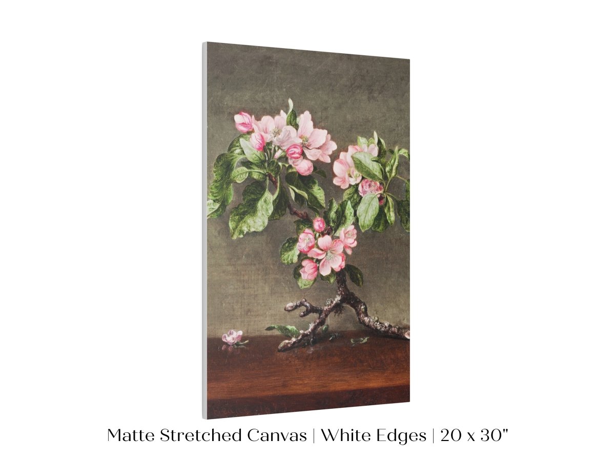 Still Life with Apple Blossoms | P146 - Single Art Prints - Piccolo Fiore Prints
