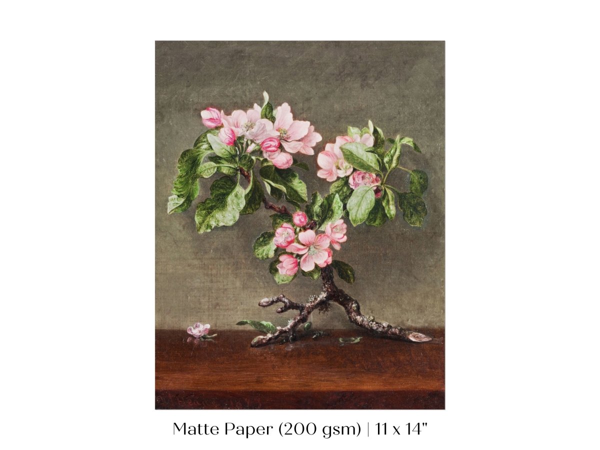 Still Life with Apple Blossoms | P146 - Single Art Prints - Piccolo Fiore Prints