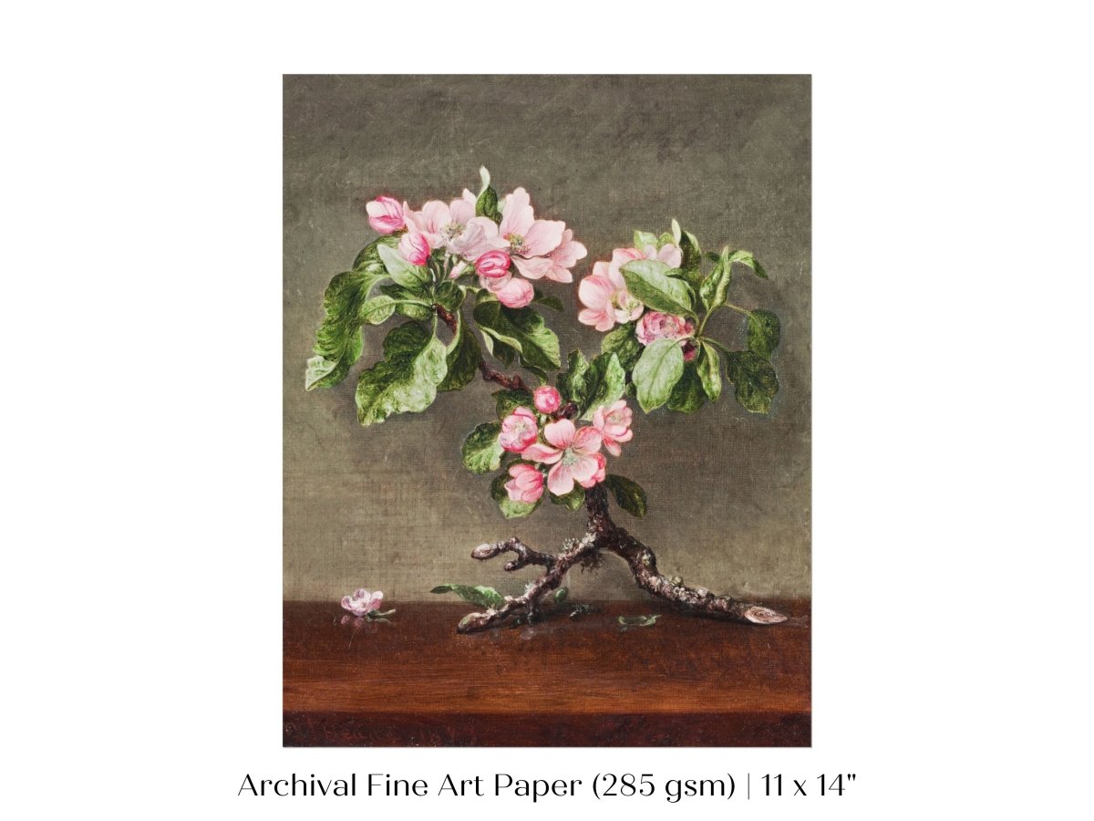 Still Life with Apple Blossoms | P146 - Single Art Prints - Piccolo Fiore Prints