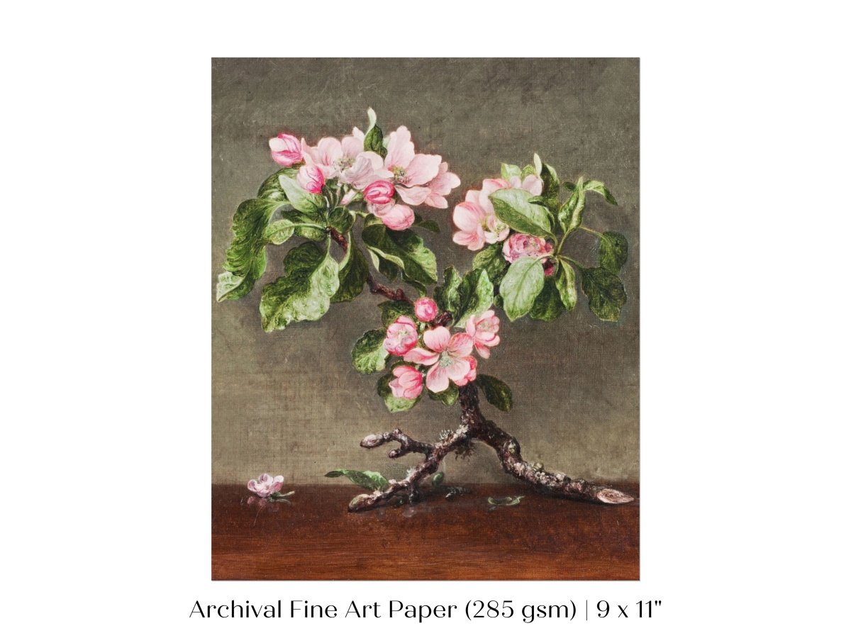 Still Life with Apple Blossoms | P146 - Single Art Prints - Piccolo Fiore Prints