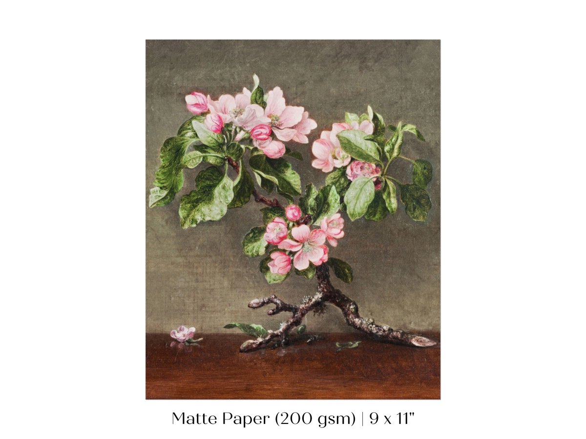 Still Life with Apple Blossoms | P146 - Single Art Prints - Piccolo Fiore Prints
