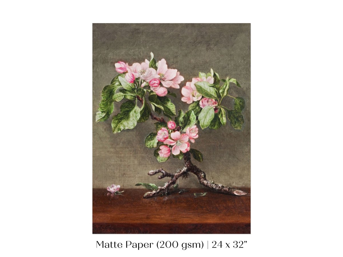 Still Life with Apple Blossoms | P146 - Single Art Prints - Piccolo Fiore Prints