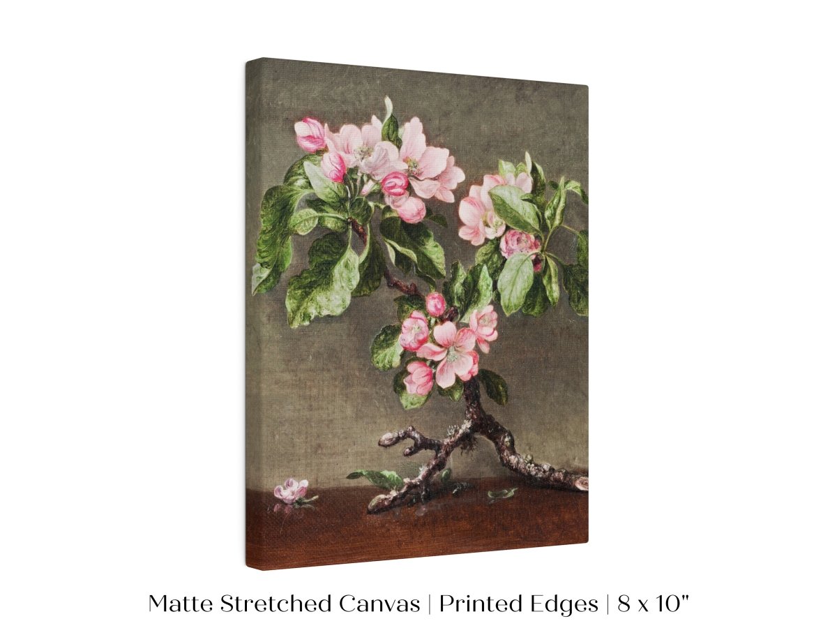 Still Life with Apple Blossoms | P146 - Single Art Prints - Piccolo Fiore Prints