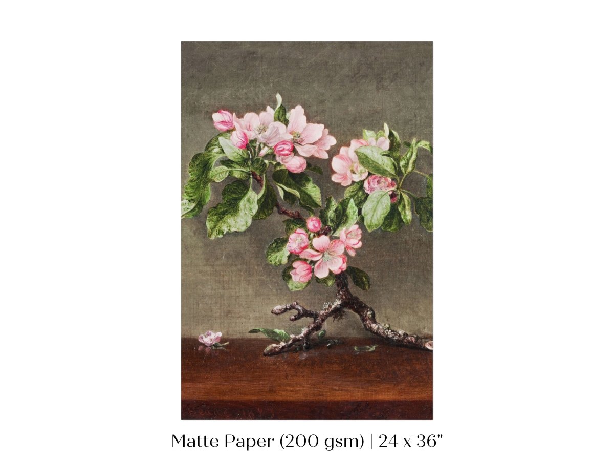 Still Life with Apple Blossoms | P146 - Single Art Prints - Piccolo Fiore Prints