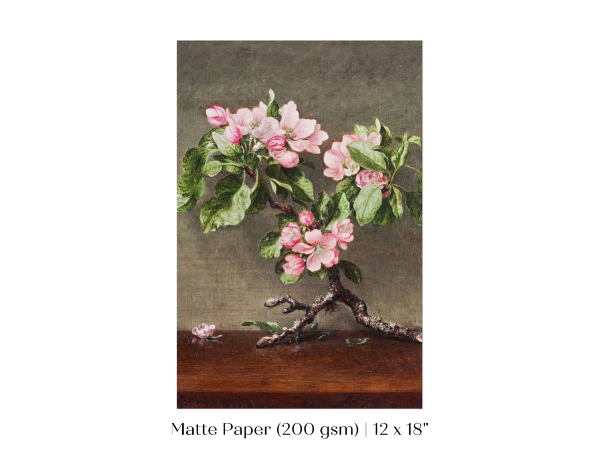 Still Life with Apple Blossoms | P146 - Single Art Prints - Piccolo Fiore Prints
