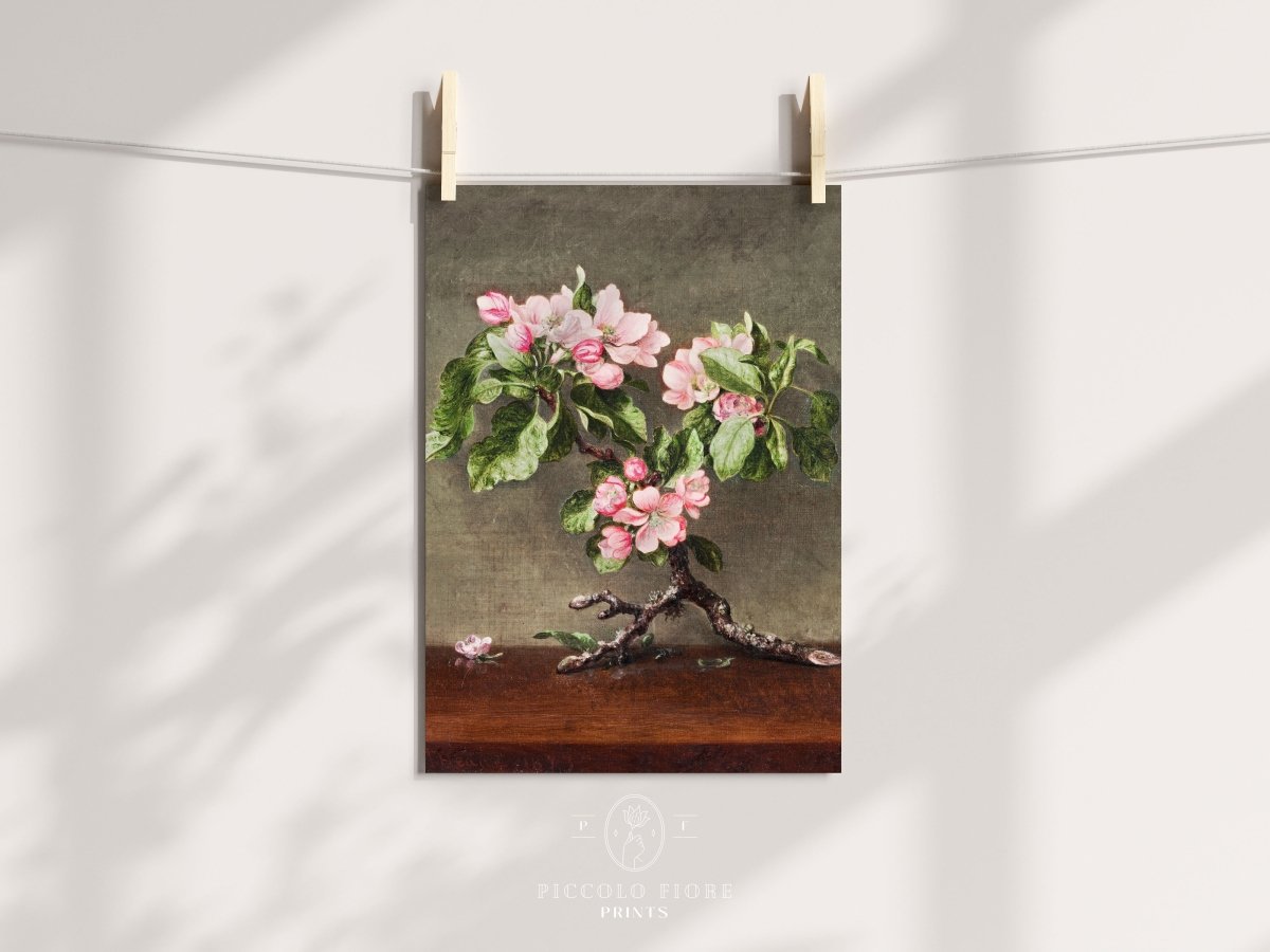 Still Life with Apple Blossoms | P146 - Single Art Prints - Piccolo Fiore Prints