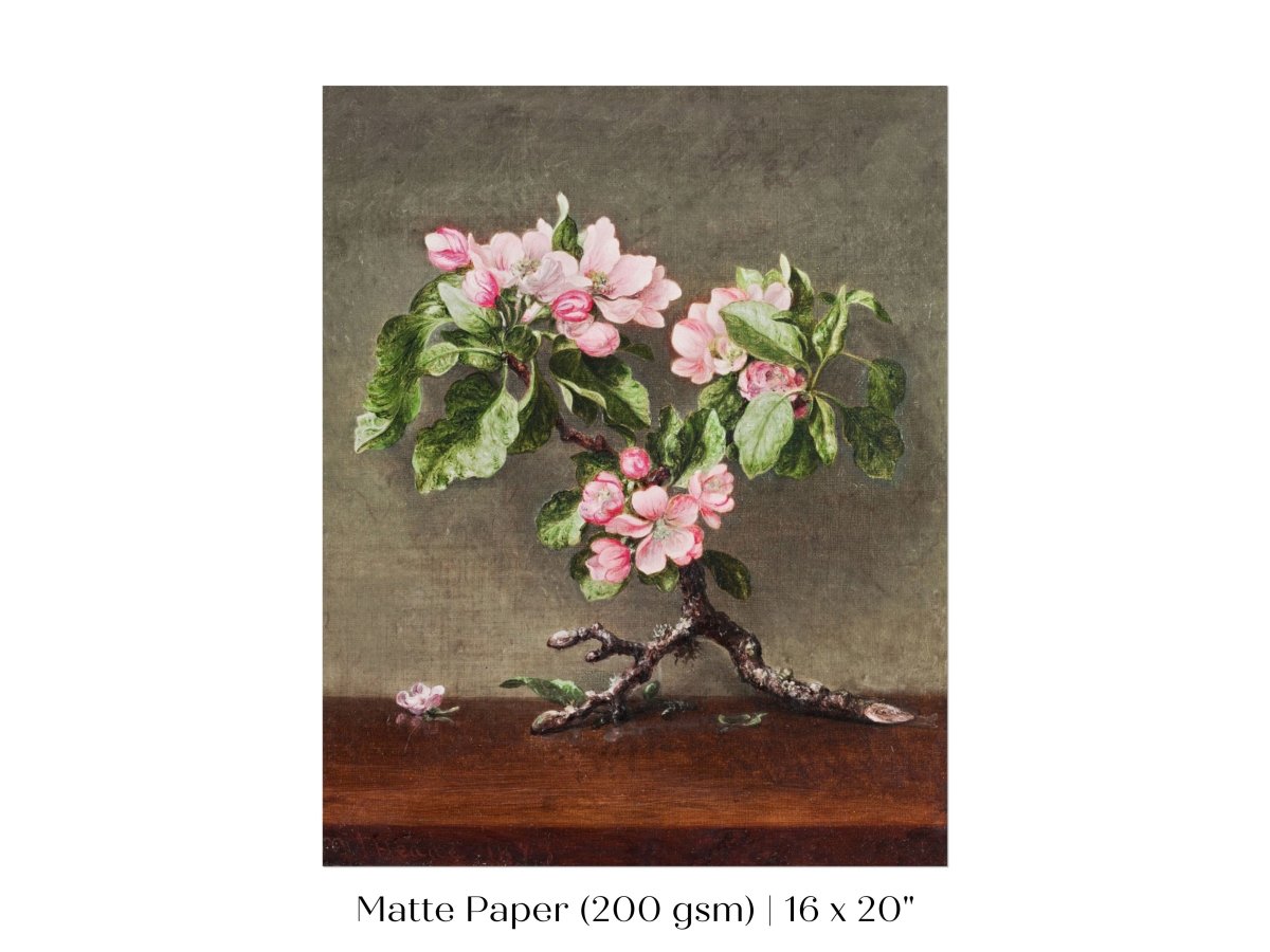 Still Life with Apple Blossoms | P146 - Single Art Prints - Piccolo Fiore Prints