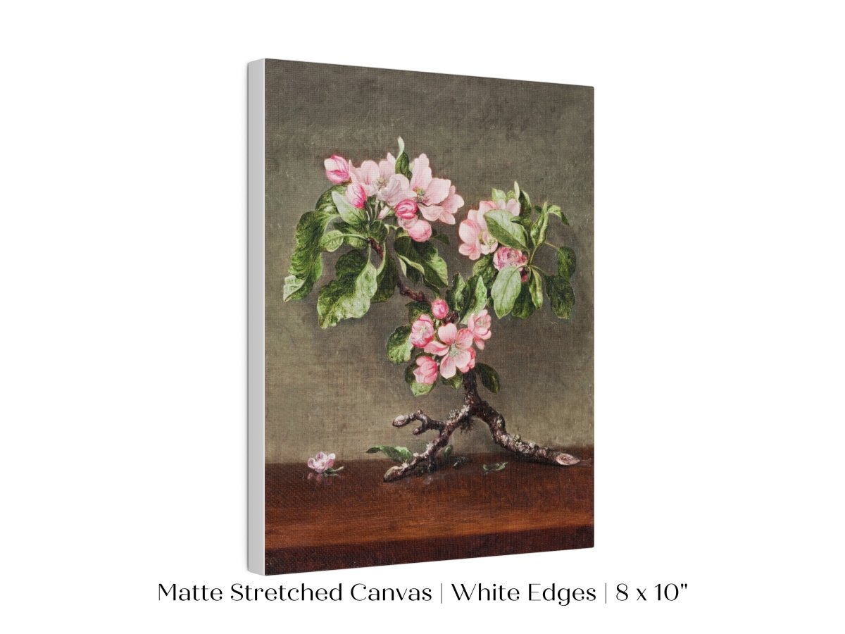 Still Life with Apple Blossoms | P146 - Single Art Prints - Piccolo Fiore Prints