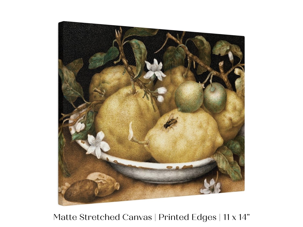 Still Life with Lemons and Limes | P400 - Single Art Prints - Piccolo Fiore Prints