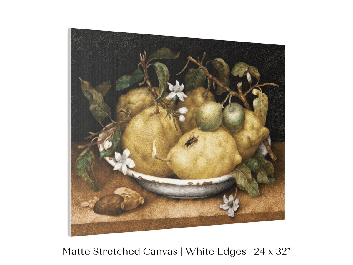 Still Life with Lemons and Limes | P400 - Single Art Prints - Piccolo Fiore Prints