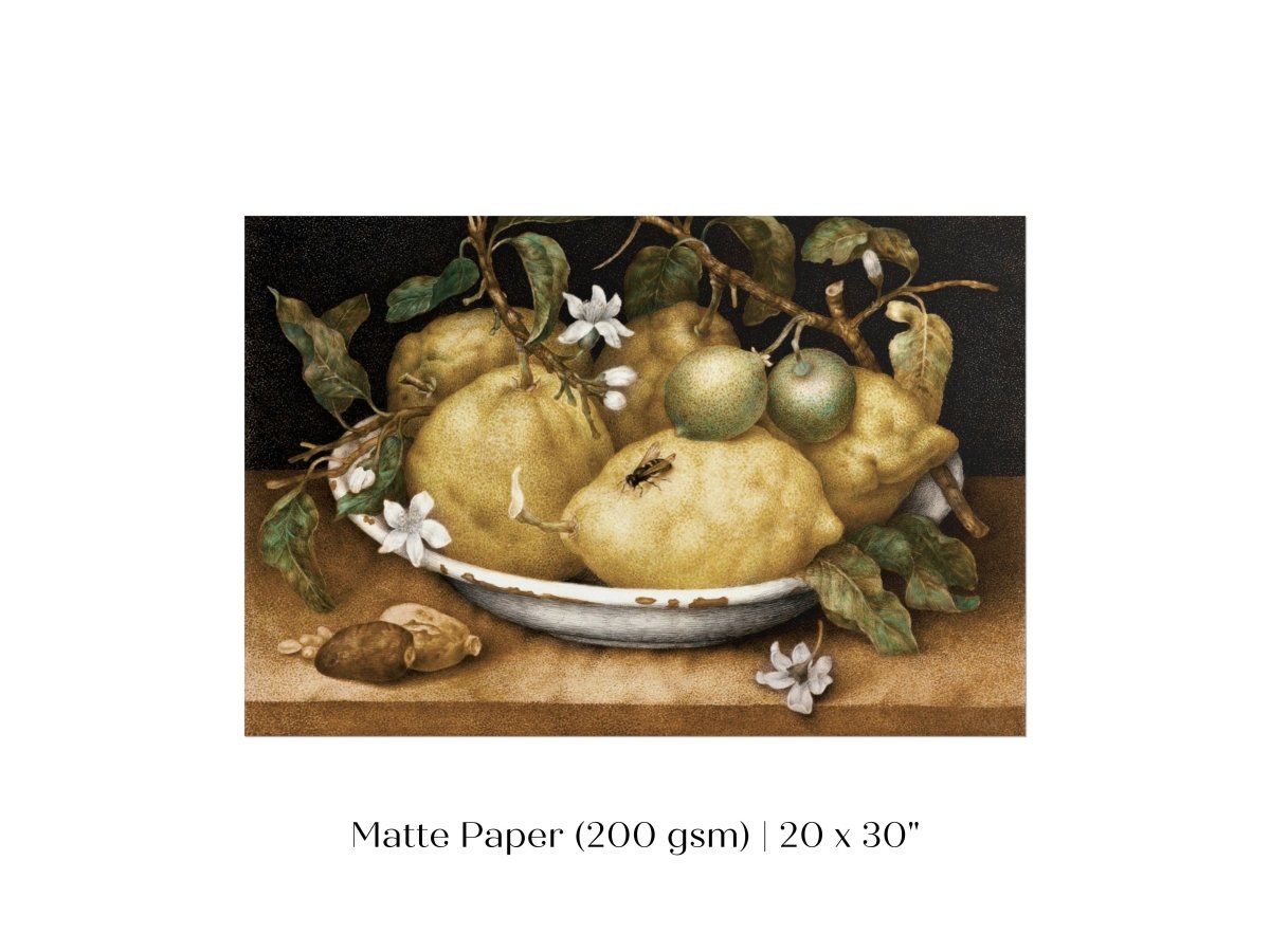 Still Life with Lemons and Limes | P400 - Single Art Prints - Piccolo Fiore Prints