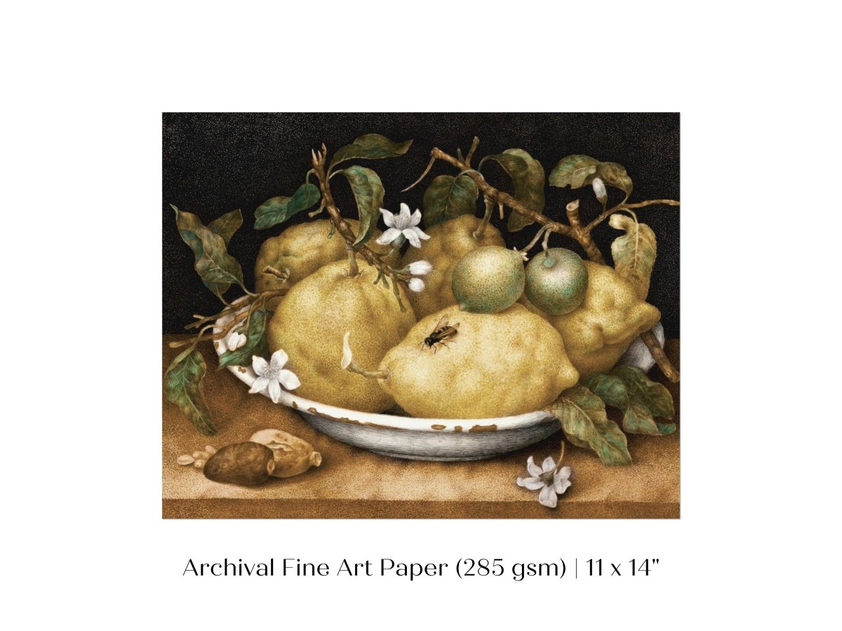 Still Life with Lemons and Limes | P400 - Single Art Prints - Piccolo Fiore Prints