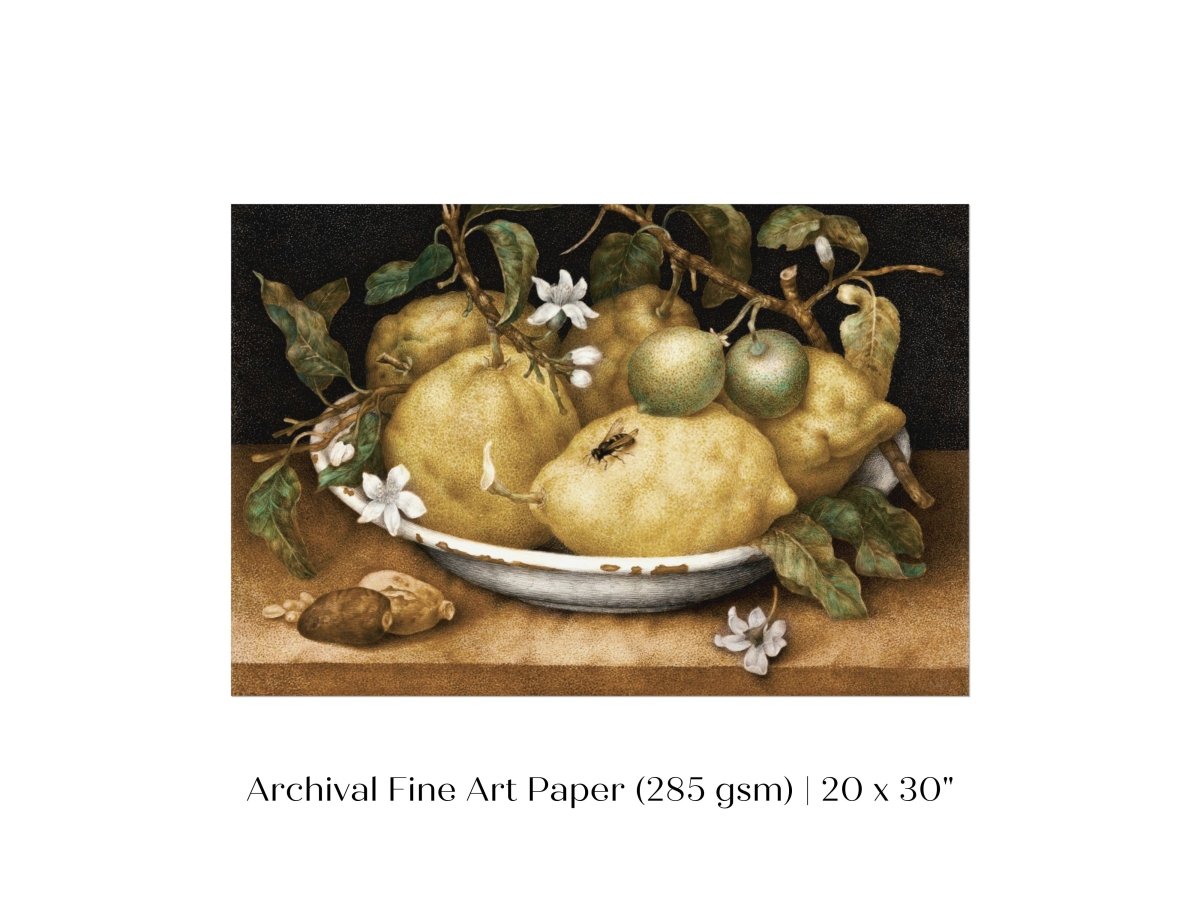 Still Life with Lemons and Limes | P400 - Single Art Prints - Piccolo Fiore Prints