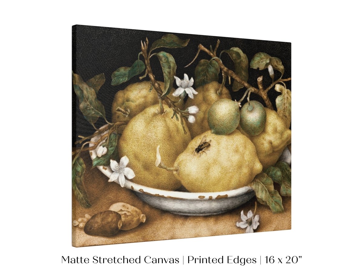 Still Life with Lemons and Limes | P400 - Single Art Prints - Piccolo Fiore Prints