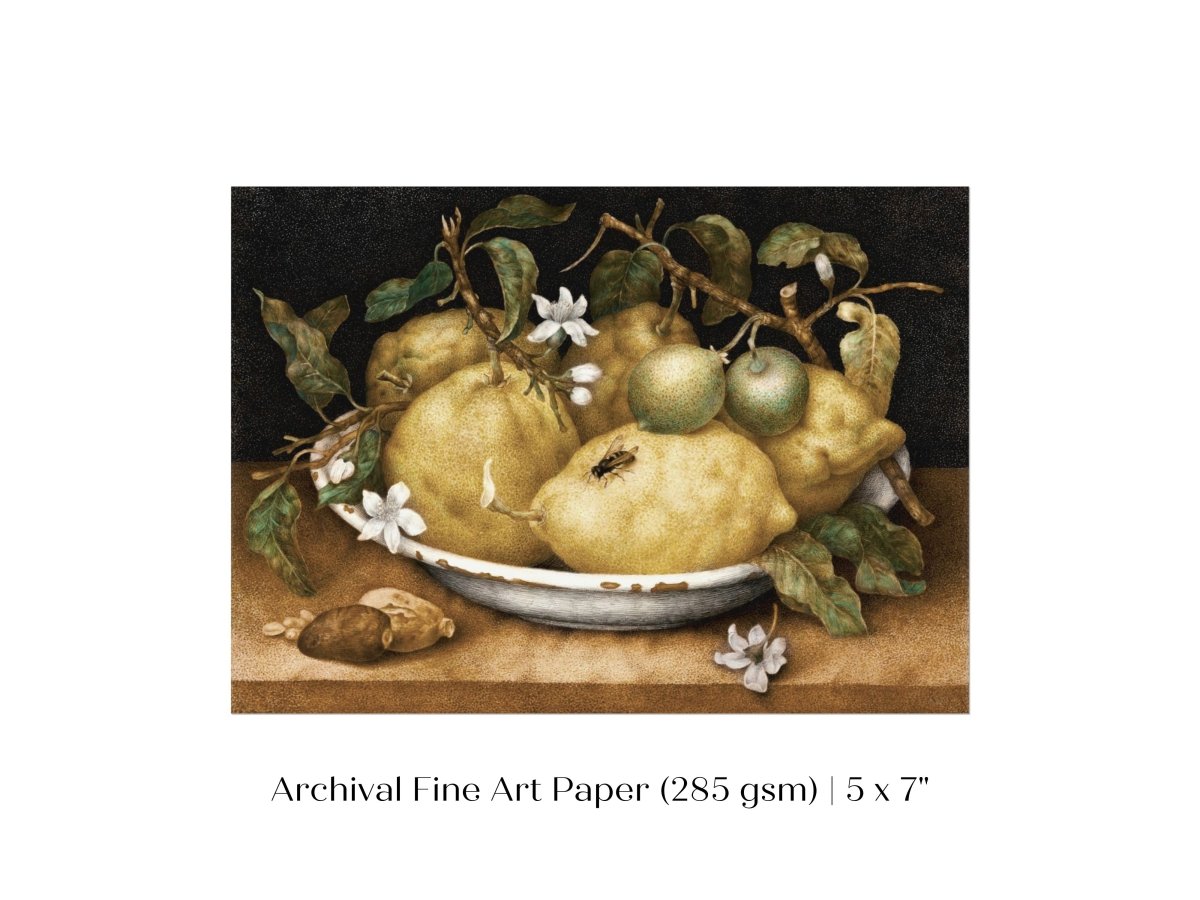 Still Life with Lemons and Limes | P400 - Single Art Prints - Piccolo Fiore Prints