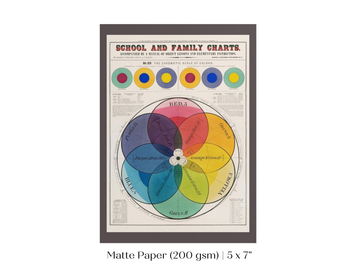 The Chromatic Scale of Colors | P697 - Single Art Prints - Piccolo Fiore Prints